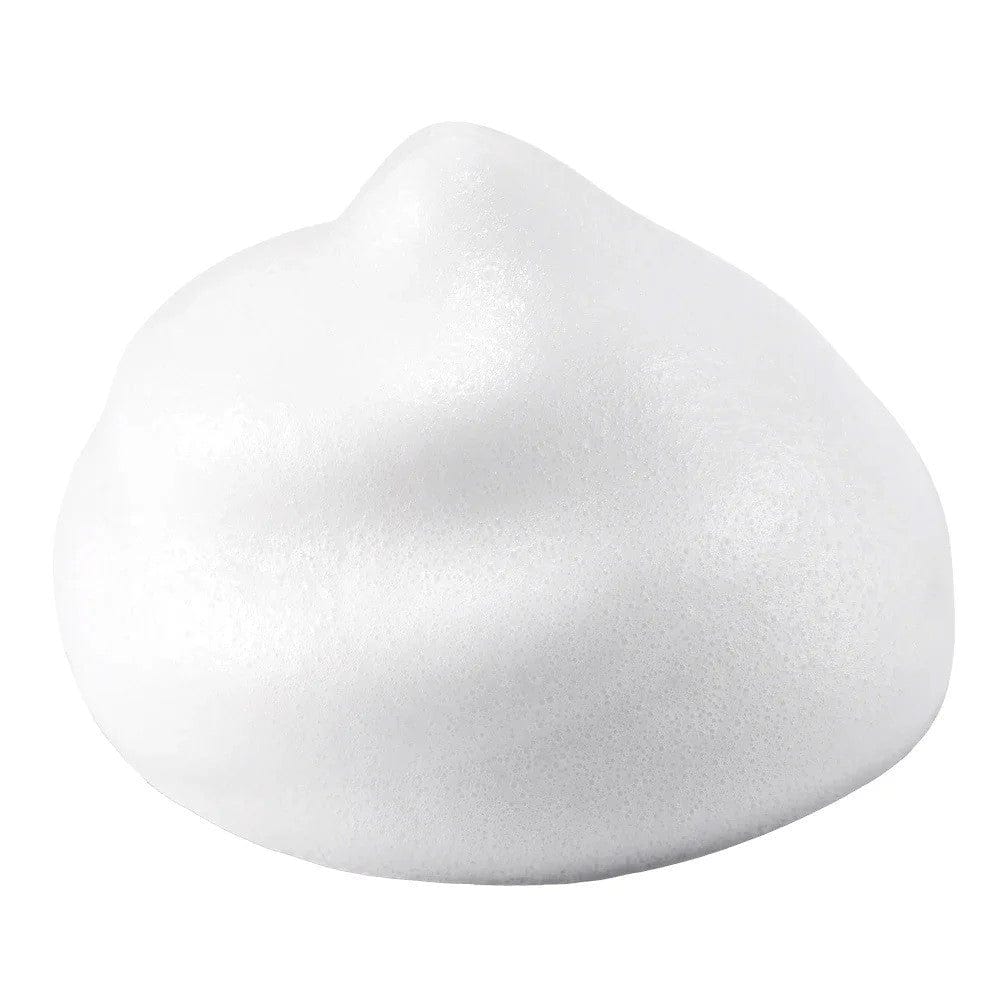 Neogen Real Fresh Foam Blueberry - 120 ml