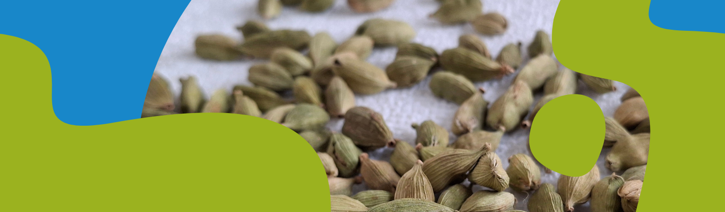 Hemp Seeds Benefits & Cold-Pressed Hemp Oil