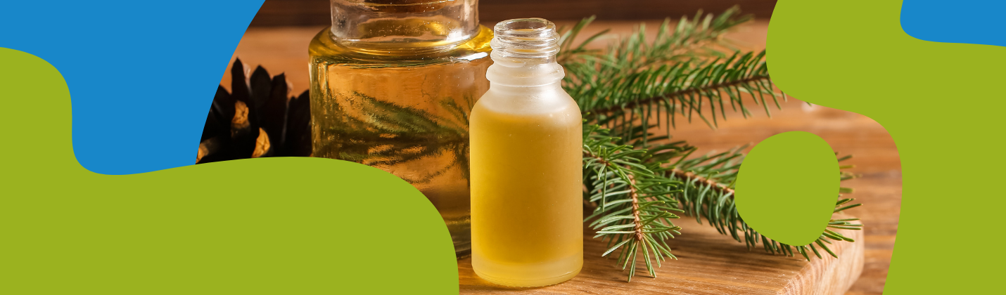Pine Essential Oil: Properties & Uses