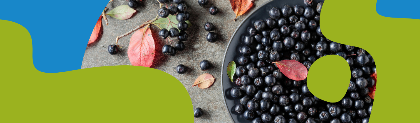 Aronia (Black Chokeberry): Benefits & Supplements