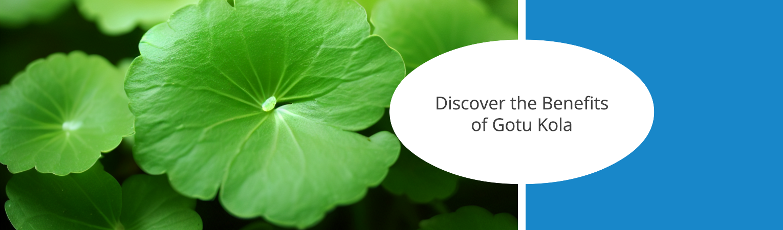 Green Genius: Diving into Gotu Kola’s Benefits, Dosage, and Potent Properties