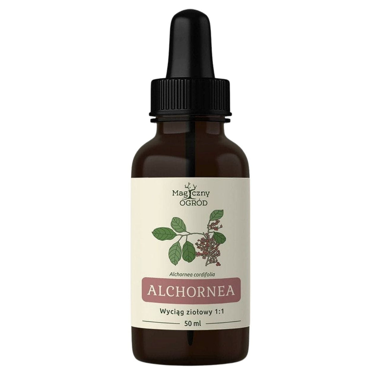 Nanga Alchornea Cordifolia Herbal Extract 1:1 for External Use - 50 ml