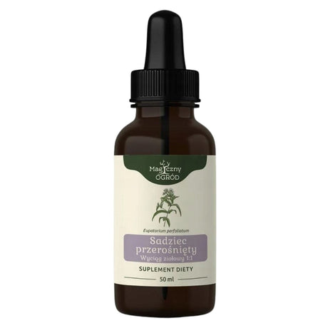 Nanga Stephania Herbal Extract 1:1 - 50 ml